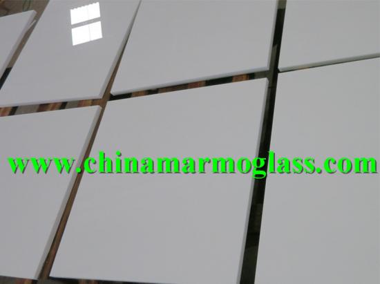 Nanoglass Nano White Glass Tile 24x24 Polished